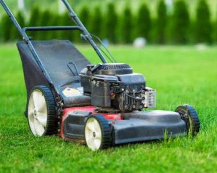 Tondeuse essence